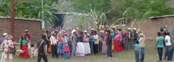 Une experience huicholesque