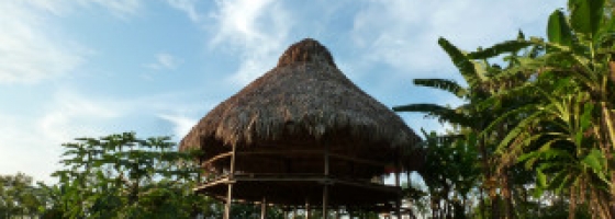 Le jardin de Palenque, au coeur des plantes spirituelles